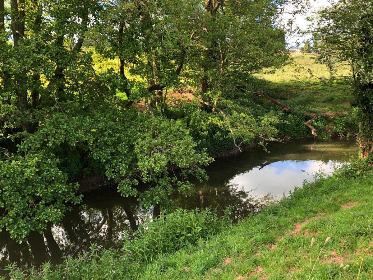 Caynham Court Bed & Breakfast *